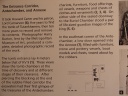 Tut's Tomb info.jpg
